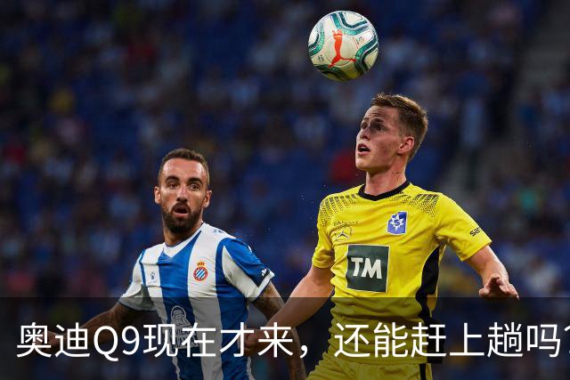 奥迪Q9现在才来，还能赶上趟吗？